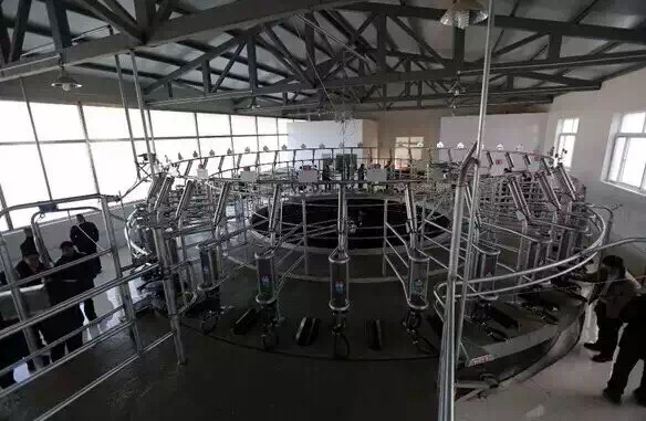 轉(zhuǎn)盤式擠奶臺